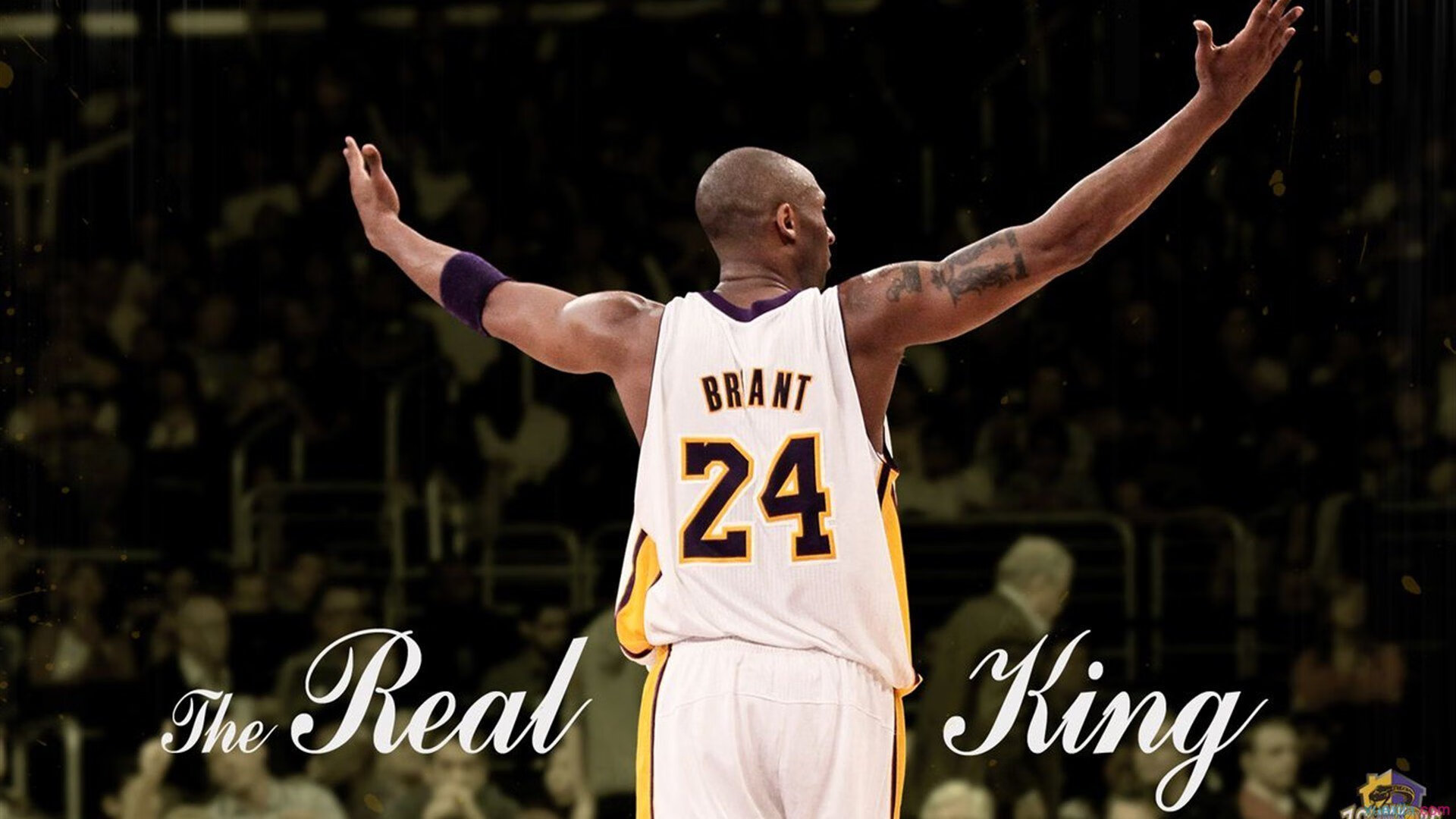 亚洲杯赛场上悬念重重，球迷关注热度不减，亚洲杯最新