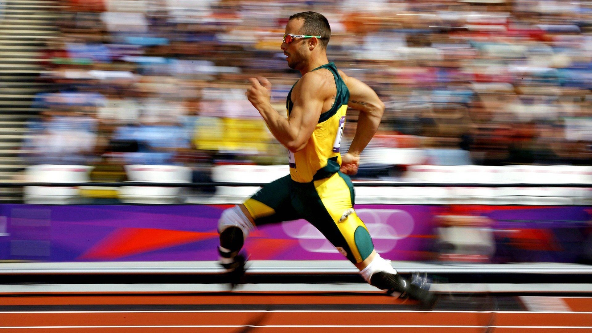 传奇车手迈克尔的巅峰记忆，迈克尔传奇英文